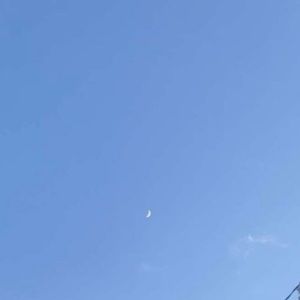 Meet your Posher, Carly